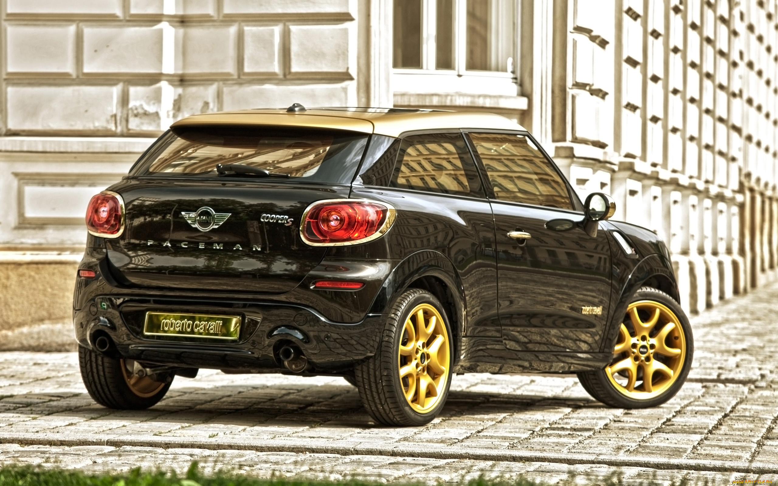 , mini, cavalli